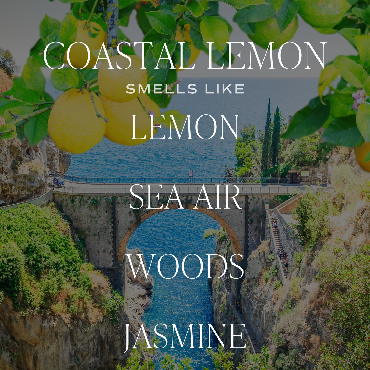 Coastal Lemon 11 oz Soy Candle - Home Decor & Gifts