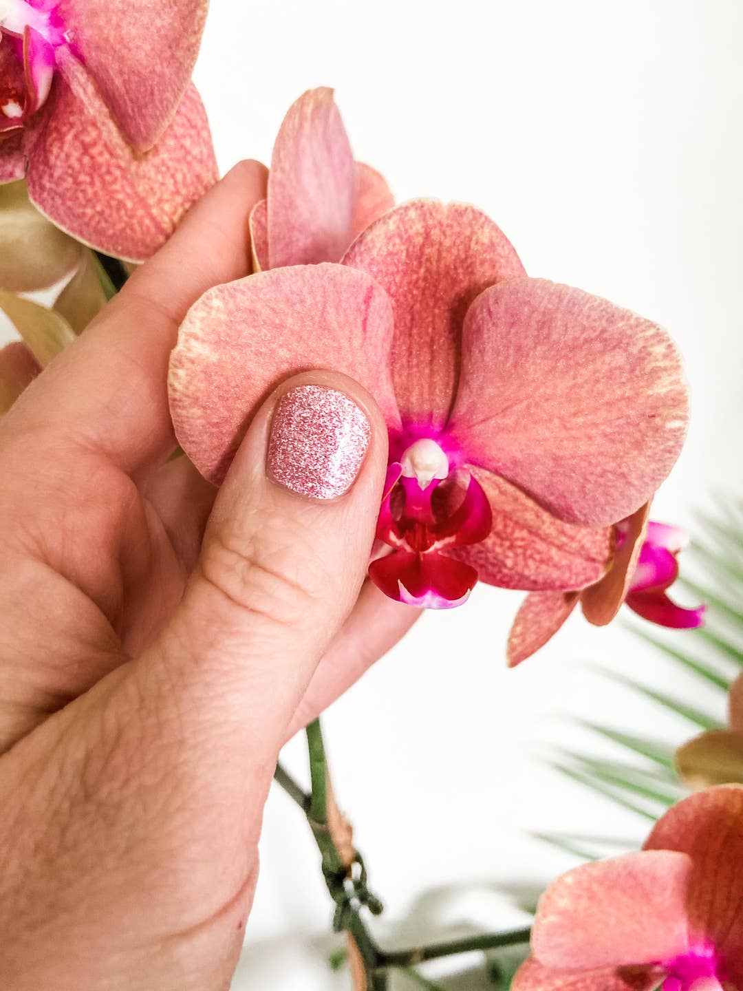 Pretty in Pink Shimmer | Light Baby Pink Glitter Nail Wraps