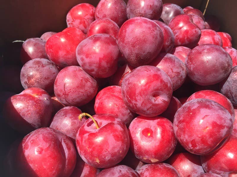 Vanilla Plum Medley Spoon Preserves 7.75oz