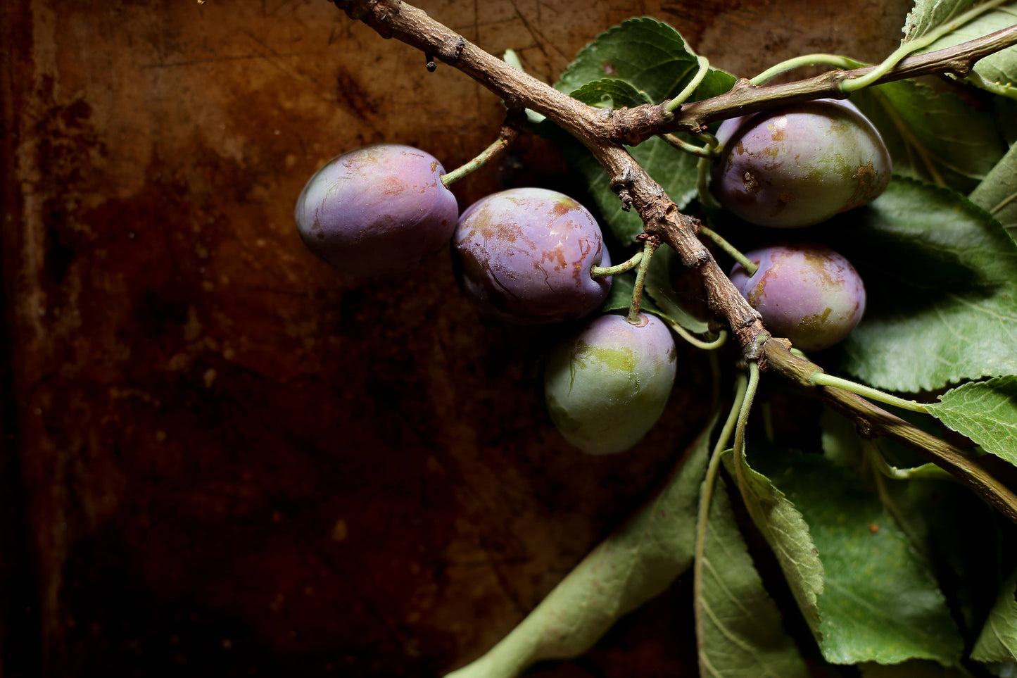 Vanilla Plum Medley Spoon Preserves 7.75oz