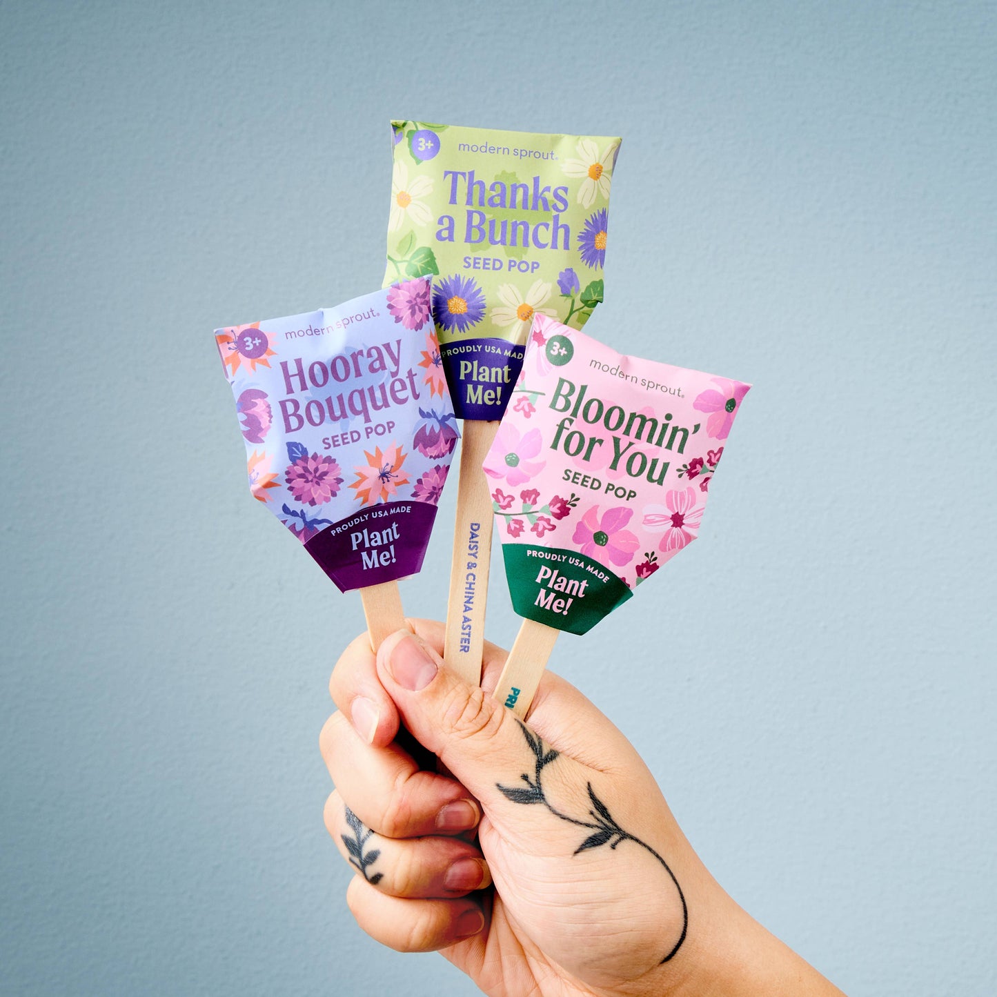 Flower Seed Pop (Single)