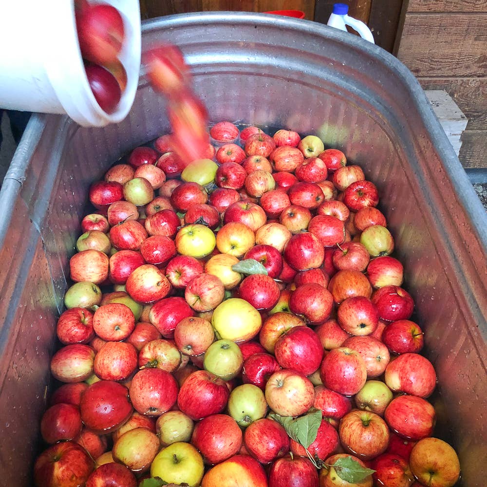 Salted Apple Caramel Spoon Preserves 7.75oz